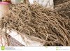kava-root-freshly-harvested-dried-fijian-farmers-market-35710898.jpg
