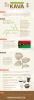 Kava-Infographic_v2_web.png