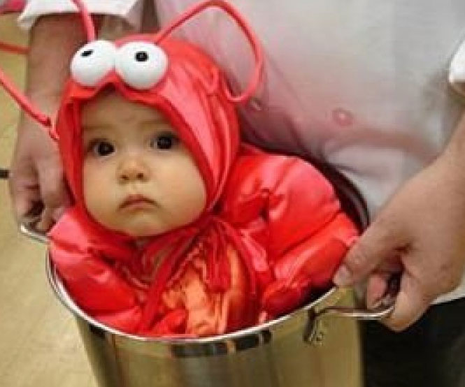 baby-lobster-costume.jpg
