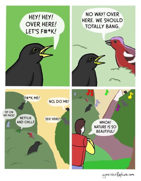 birds.jpg