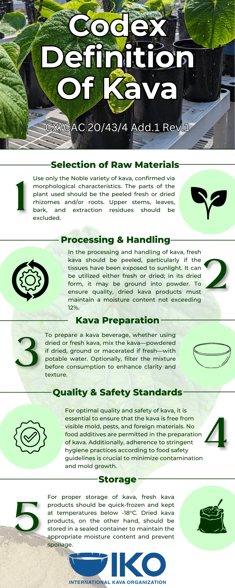 Codex Definition of Kava (1).png