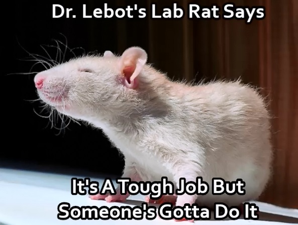 dr-lebots-lab-rats.jpg