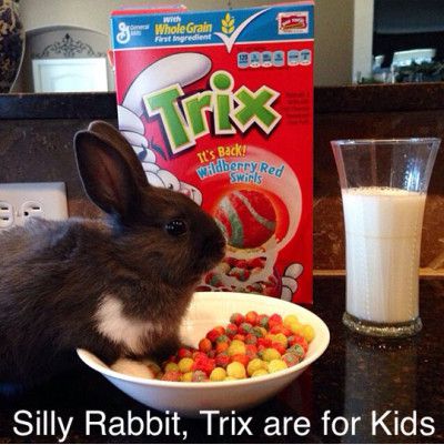 Funniest_Memes_silly-rabbit-trix-are-for-kids_5656.jpeg