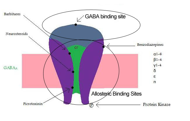 GABAA_receptor_binding_sites.jpg