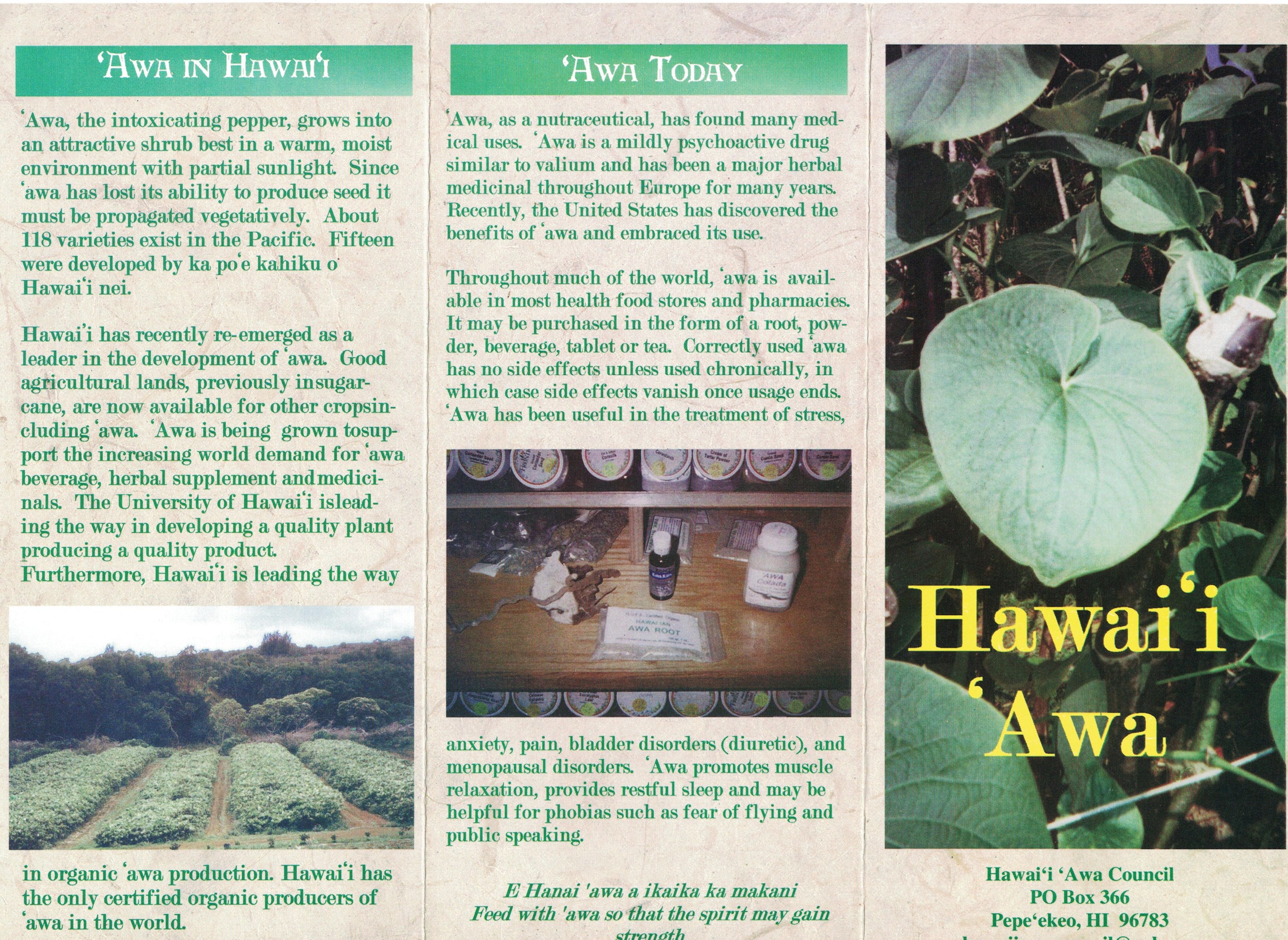 Hawaii Awa Council 1 001.jpg