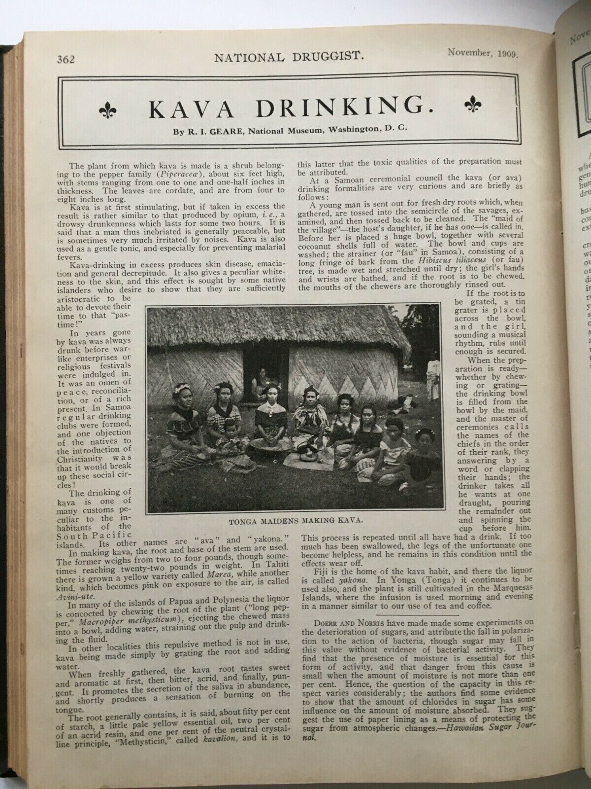 Kava Drinking - National Druggist 1909.jpg