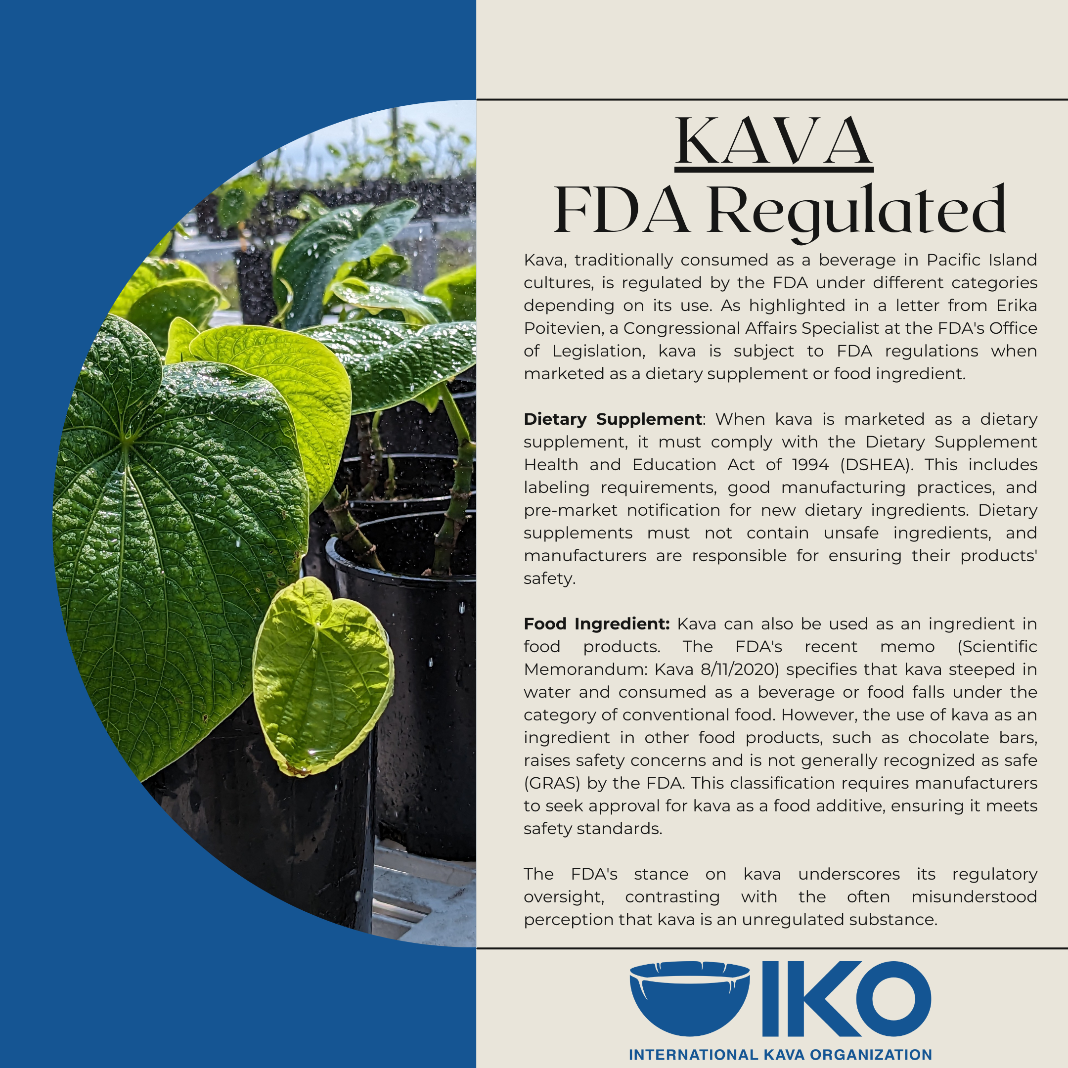 Kava - FDA Regulated.png