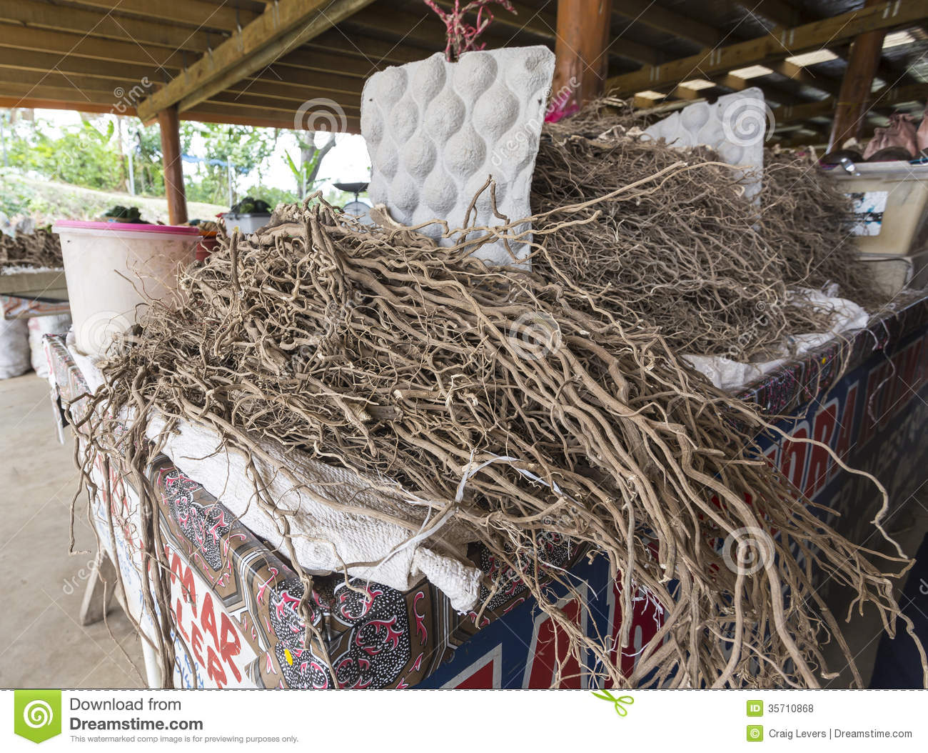 kava-root-freshly-harvested-dried-fijian-farmers-market-35710868.jpg