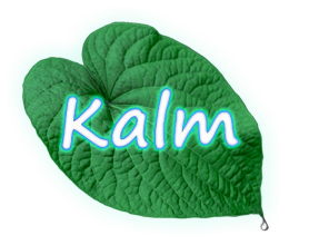 logo-kalm-01.png
