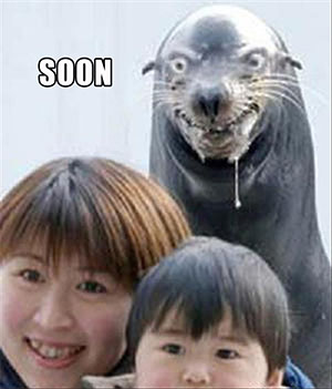 seal-soon.jpg