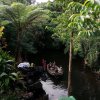 Vanuatu IslandS Paradise.jpg