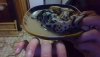 IMG_20201215_004852.jpg