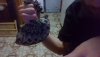 IMG_20201215_004828.jpg