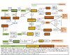 Neutrotransmitter Metabolization.jpg