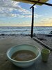 IMG_4320.jpeg