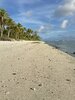 IMG_3796.jpeg