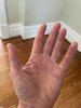 IMG_0575.jpeg