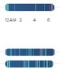 sleep.jpg