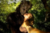 bigfoot woman.png