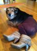 image.jpeg