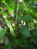 DSC00244.JPG