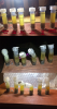 testtubes.png
