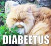 diabetes.jpg