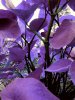 20180920_172744.jpg