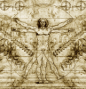 homem-vitruviano-da-vinci.png