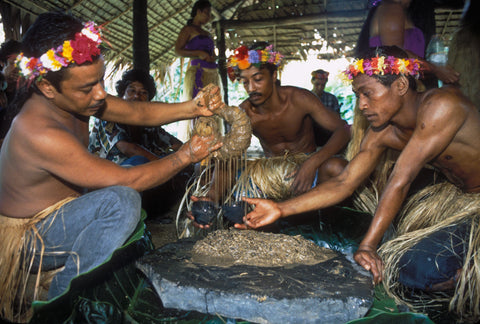 Micronesian Sakau Rahmwanger Kava for Sale Root of Happiness Kava